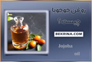 روغن جوجوبا چیست؟ خواص روغن جوجوبا