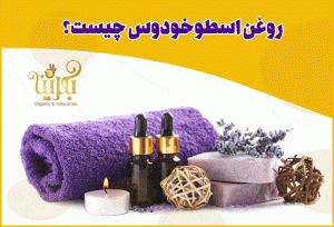 روغن اسطوخودوس چیست؟ 22 خواص درمانی بی نظیر آن